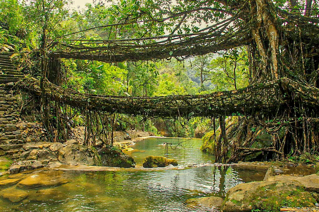 Assam-Meghalaya-Arunachal Pradesh