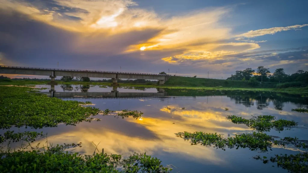 Scenic view of rural life in Majuli, Assam, with lush green fields, traditional homes, and serene landscapes, capturing the essence of the world's largest river island and its eco-friendly lifestyle.