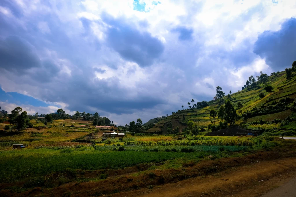 Northeast India with the Best Travel Coordinator
