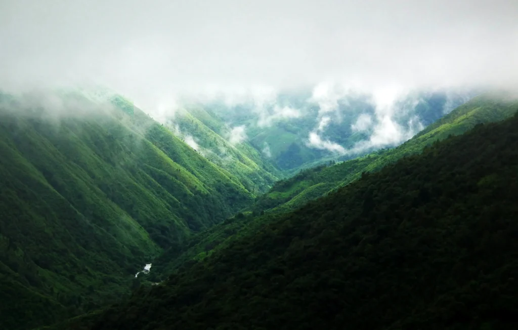 Beautiful landscape showcasing Northeast India tourism with lush green hills and clear skies