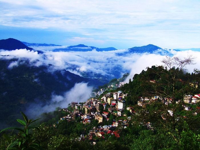 Scenic view of Darjeeling tourist places with Kanchenjunga mountains, tea gardens, and the iconic toy train.